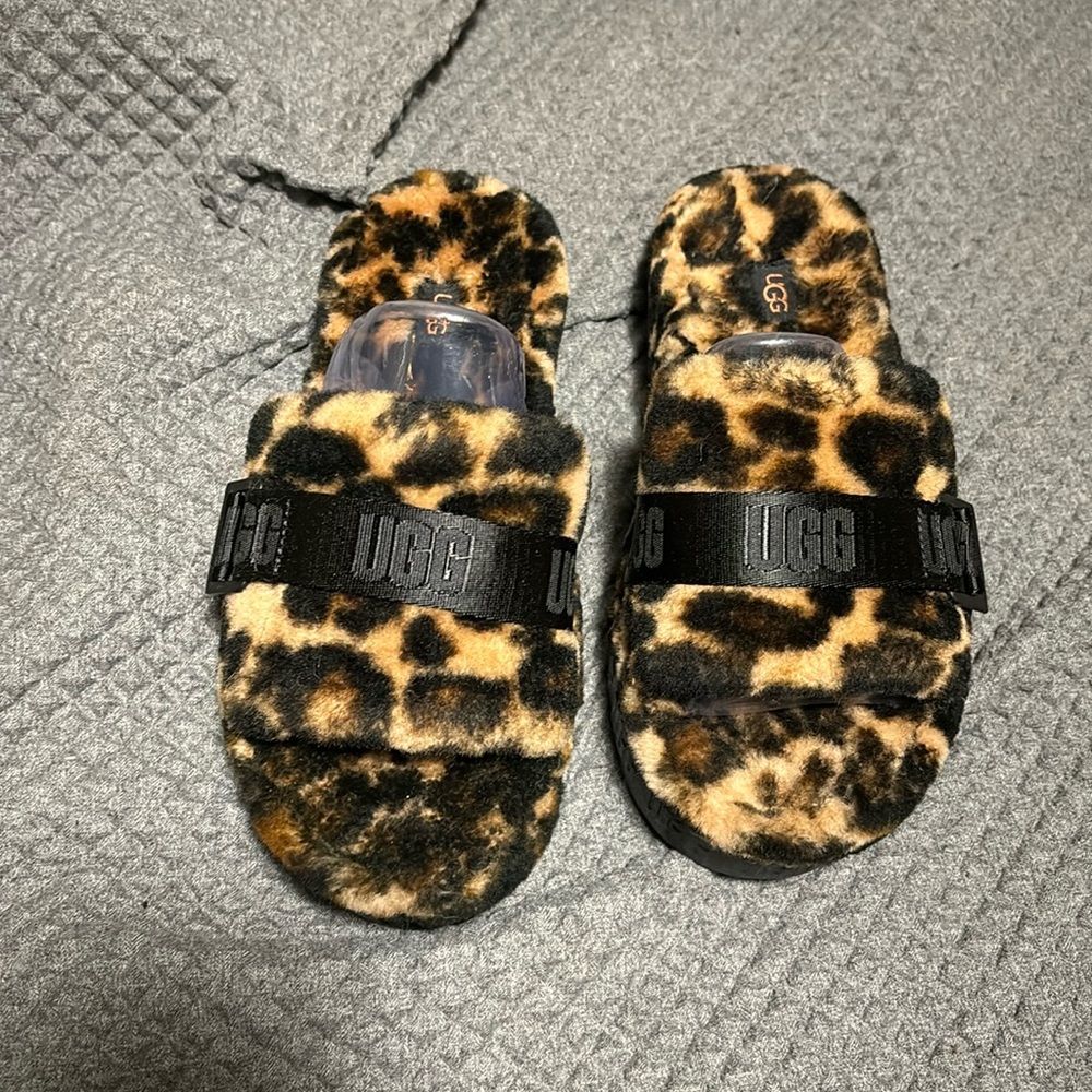 Platform Cheetah uggs brand new NEVER worn
